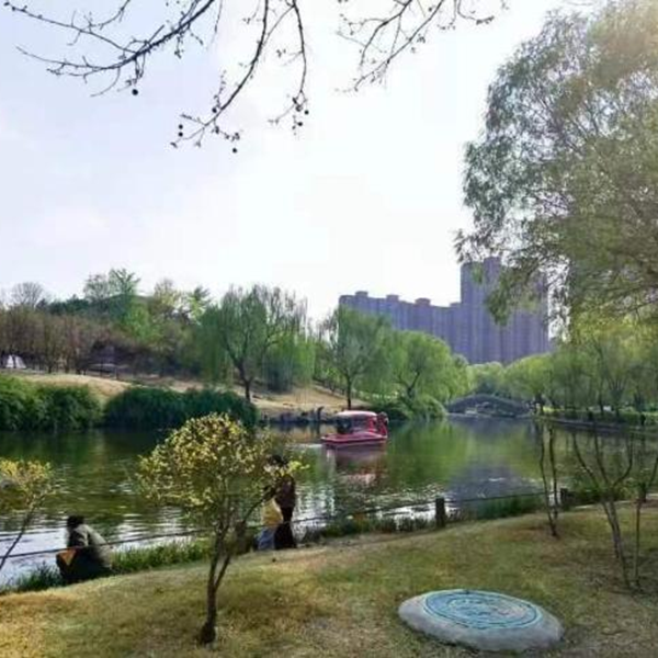 春日旅行攻略|管理學(xué)院|看這里，一起暢行保定
