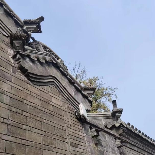 春日旅行攻略|管理學(xué)院|看這里，一起暢行保定