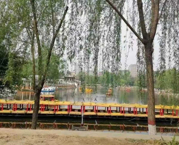 春日旅行攻略|管理學(xué)院|看這里，一起暢行保定