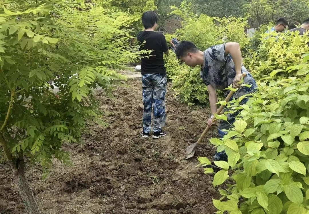 保理會計學(xué)院五月勞動月,身體力先行